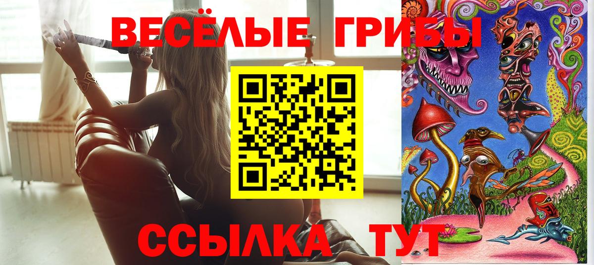 Псилоцибиновые грибы MAGIC MUSHROOMS  Вход с VPN  Туймазы 