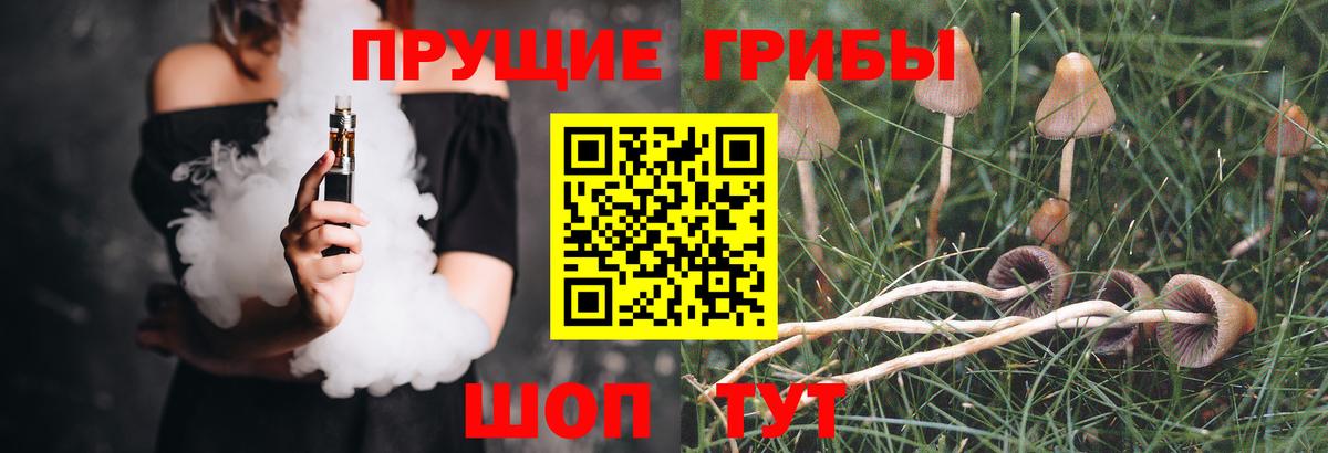 Псилоцибиновые грибы Magic Shrooms Туймазы